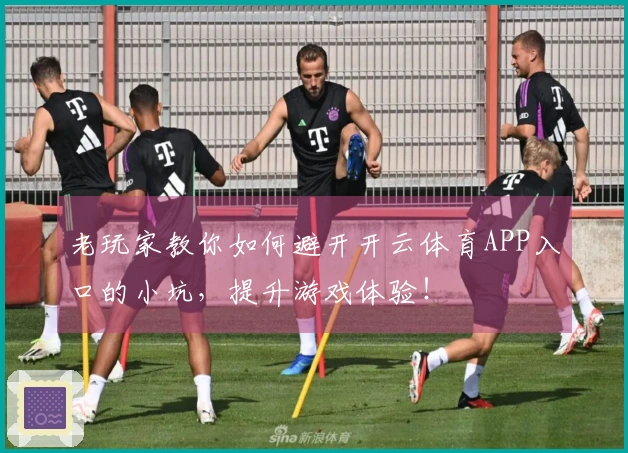 老玩家教你如何避开开云体育APP入口的小坑，提升游戏体验！