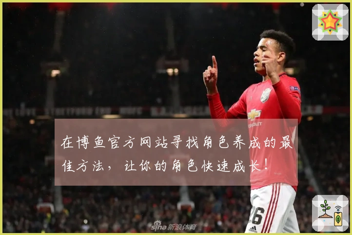 在博鱼官方网站寻找角色养成的最佳方法，让你的角色快速成长！